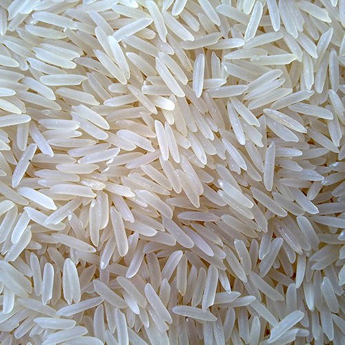 1509 Basmati